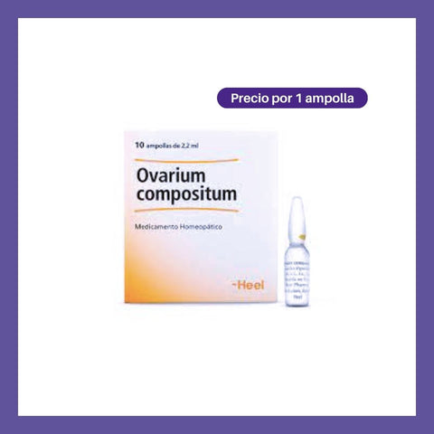 Ovarium Compositum